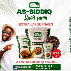 100 pieces of Extra large Snails