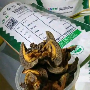 100 Pieces of Big Snails