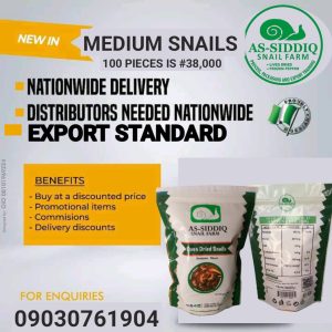 100 Pieces of Medium Snails – ₦38,000