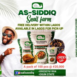 100 Pieces of Small Snails – ₦20,000