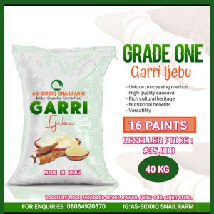 ONE GARRI-IJEBU DRY AND SAND FREE GARRI IJEBU